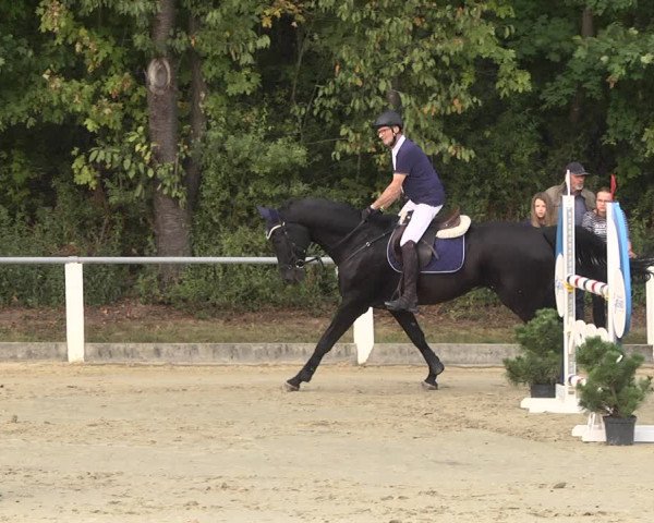 Reitturnier Forst 2021