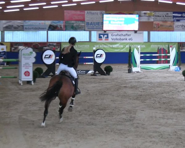 Reitturnier Isterberg 2023