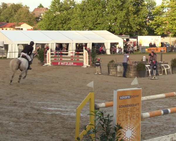 Reitturnier Heiligenwald 2023