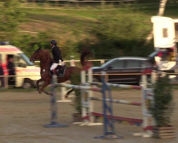 Reitturnier Heiligenwald 2023