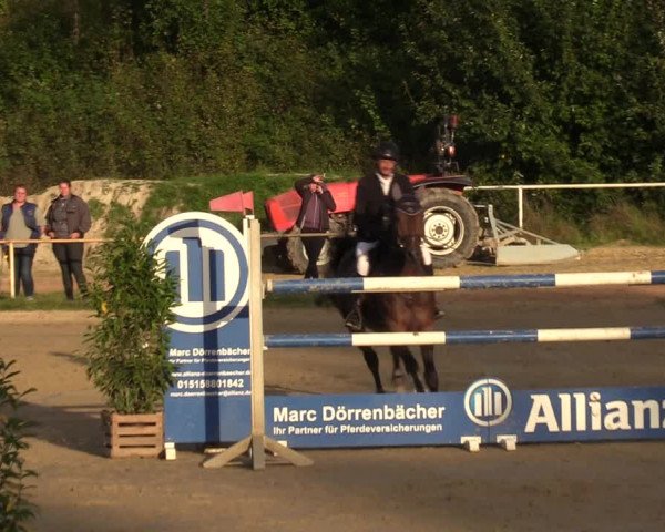 Reitturnier Heiligenwald 2023