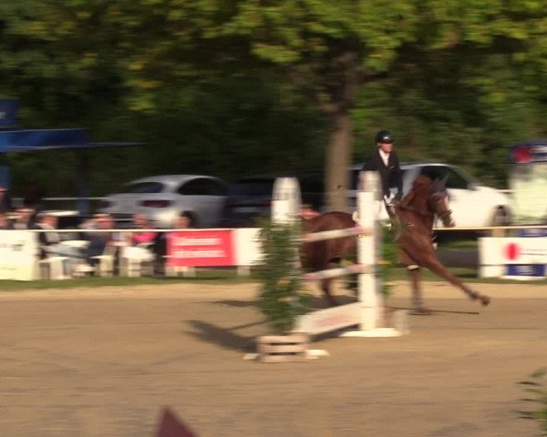 Reitturnier Heiligenwald 2023