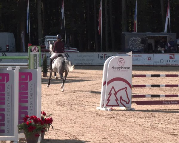 Reitturnier Ranshofen - Braunau am Inn 2023
