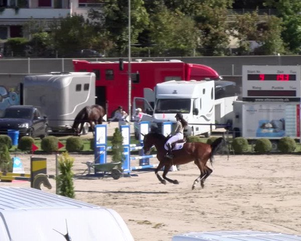 Reitturnier Basel 2023