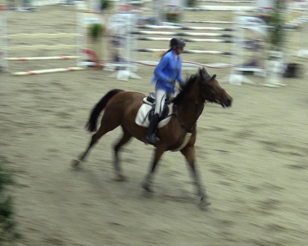 Reitturnier Xanten - Reitanlage Miss 2023