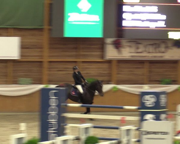 Reitturnier Xanten - Reitanlage Miss 2023