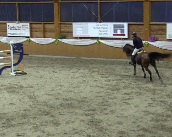 Reitturnier Xanten - Reitanlage Miss 2023