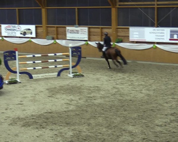 Reitturnier Xanten - Reitanlage Miss 2023