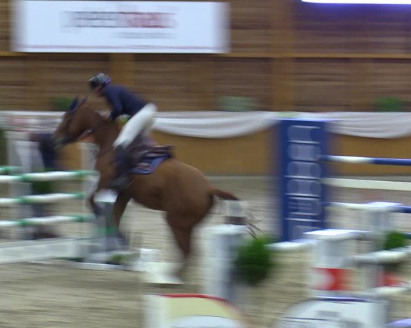 Reitturnier Xanten - Reitanlage Miss 2023