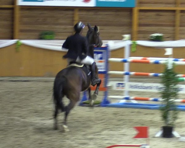 Reitturnier Xanten - Reitanlage Miss 2023