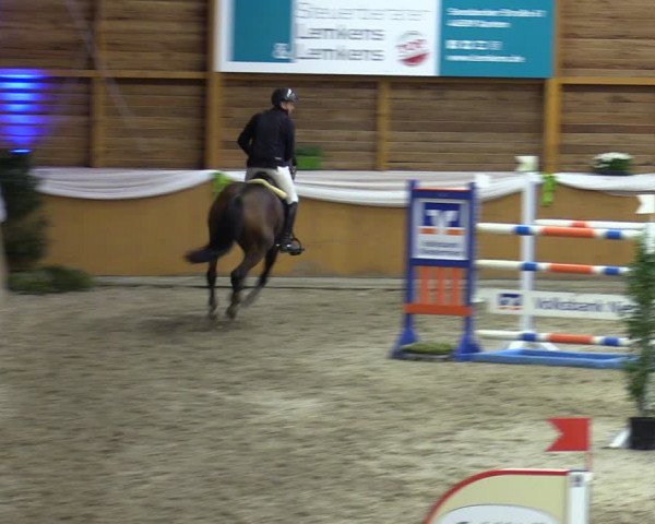 Reitturnier Xanten - Reitanlage Miss 2023