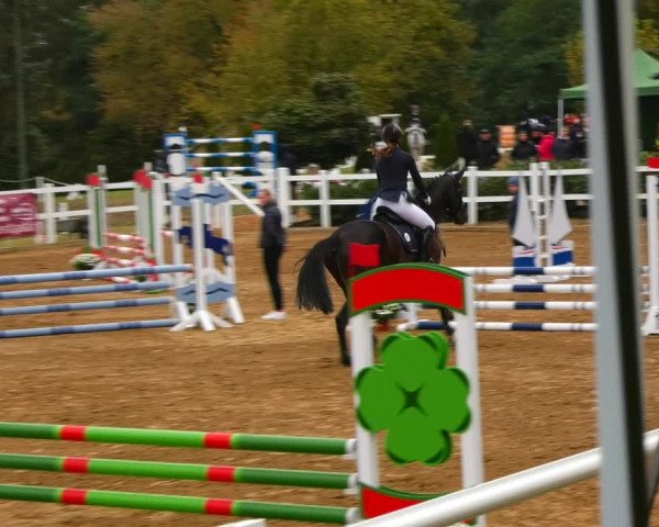 Reitturnier Teupitz 2023