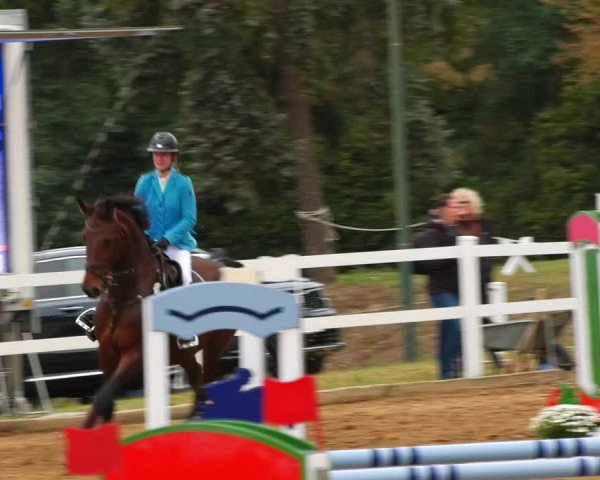 Reitturnier Teupitz 2023