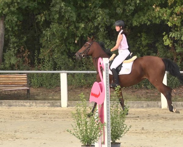 Reitturnier Forst 2021