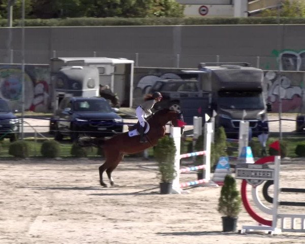Reitturnier Basel 2023