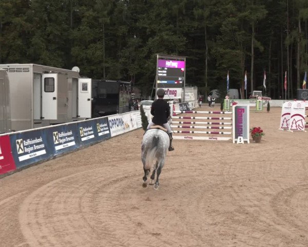 Reitturnier Ranshofen - Braunau am Inn 2023