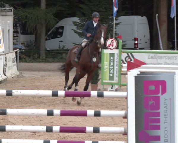 Reitturnier Ranshofen - Braunau am Inn 2023