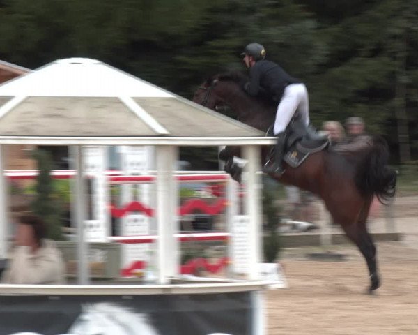 Reitturnier Ranshofen - Braunau am Inn 2023