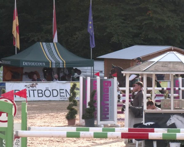Reitturnier Ranshofen - Braunau am Inn 2023