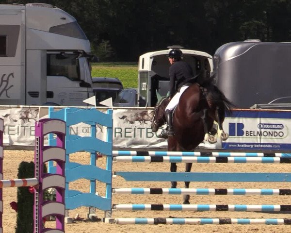 Reitturnier Ranshofen - Braunau am Inn 2023
