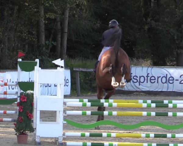 Reitturnier Ranshofen - Braunau am Inn 2023