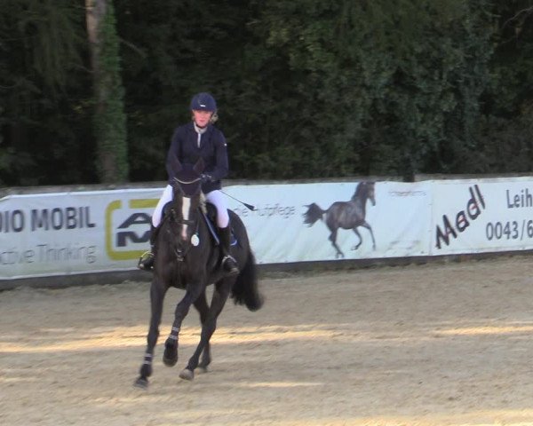Reitturnier Ranshofen - Braunau am Inn 2023