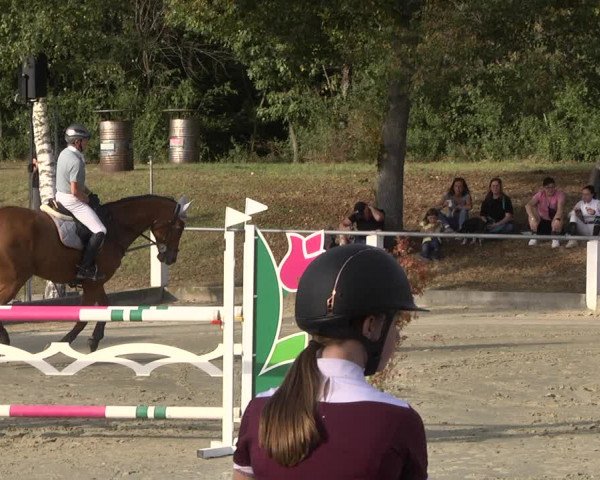 Reitturnier Forst 2021