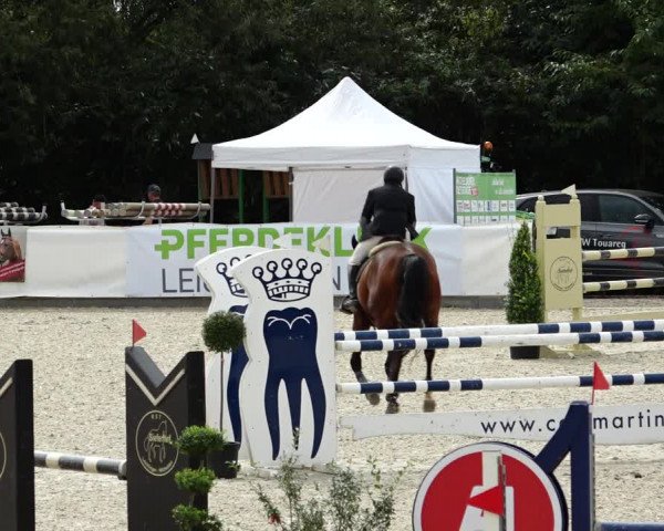Reitturnier Leichlingen-Witzhelden 2021