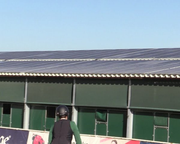 Reitturnier Ranshofen - Braunau am Inn 2023