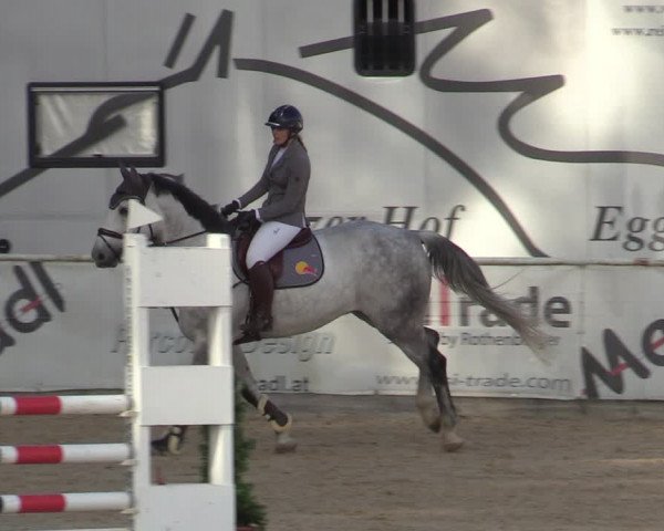 Reitturnier Ranshofen - Braunau am Inn 2023