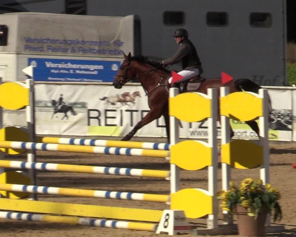 Reitturnier Ranshofen - Braunau am Inn 2023