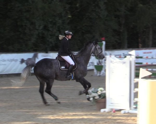 Reitturnier Ranshofen - Braunau am Inn 2023