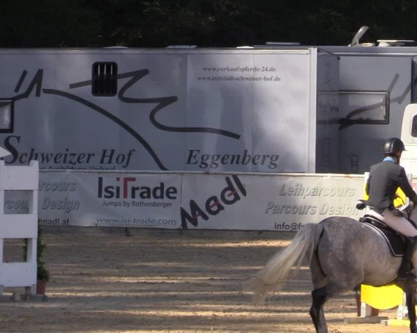 Reitturnier Ranshofen - Braunau am Inn 2023