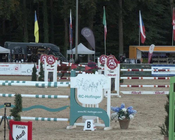 Reitturnier Ranshofen - Braunau am Inn 2023