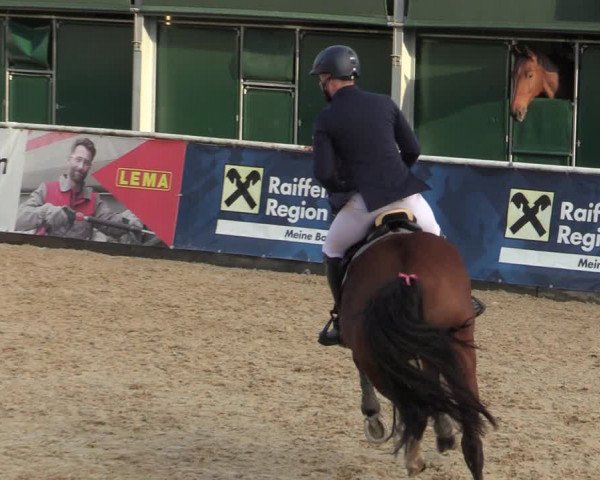 Reitturnier Ranshofen - Braunau am Inn 2023