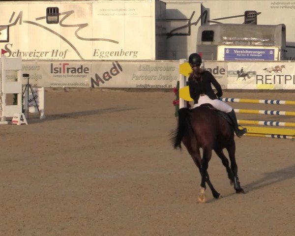 Reitturnier Ranshofen - Braunau am Inn 2023