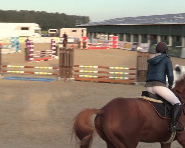 Reitturnier Ranshofen - Braunau am Inn 2023