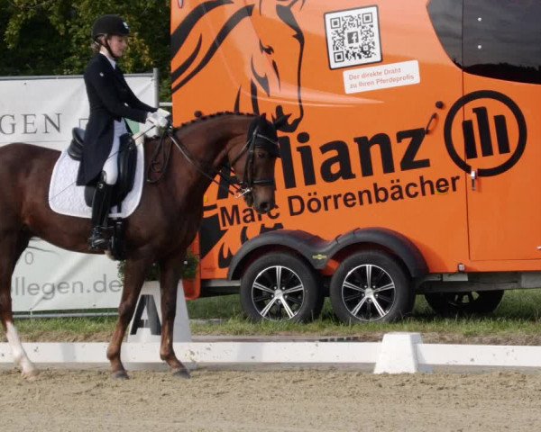 Reitturnier Heiligenwald 2023