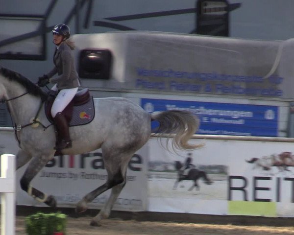 Reitturnier Ranshofen - Braunau am Inn 2023