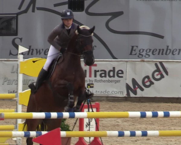 Reitturnier Ranshofen - Braunau am Inn 2023