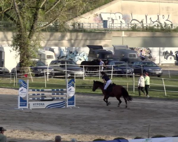 Reitturnier Basel 2023