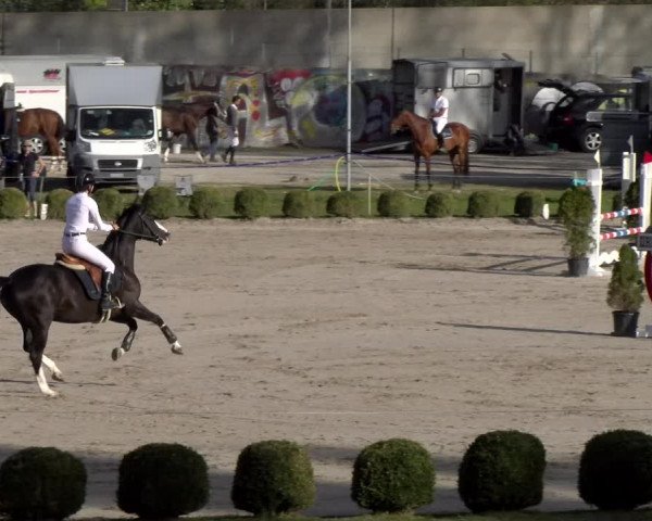 Reitturnier Basel 2023