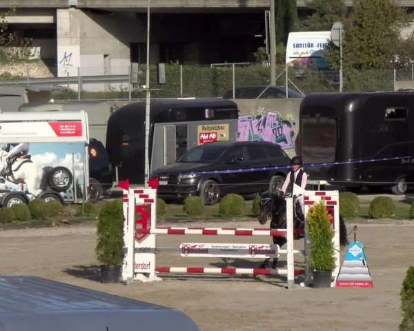Reitturnier Basel 2023