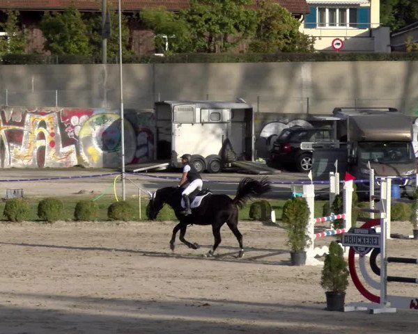 Reitturnier Basel 2023