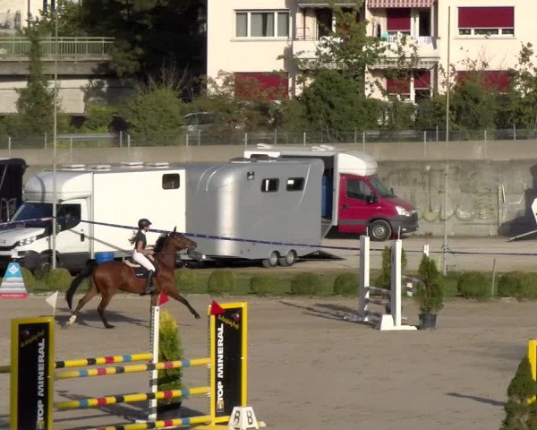 Reitturnier Basel 2023