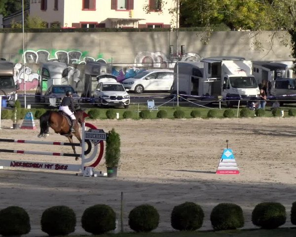 Reitturnier Basel 2023