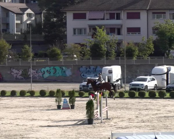 Reitturnier Basel 2023