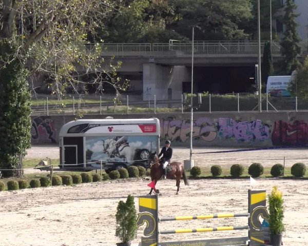 Reitturnier Basel 2023