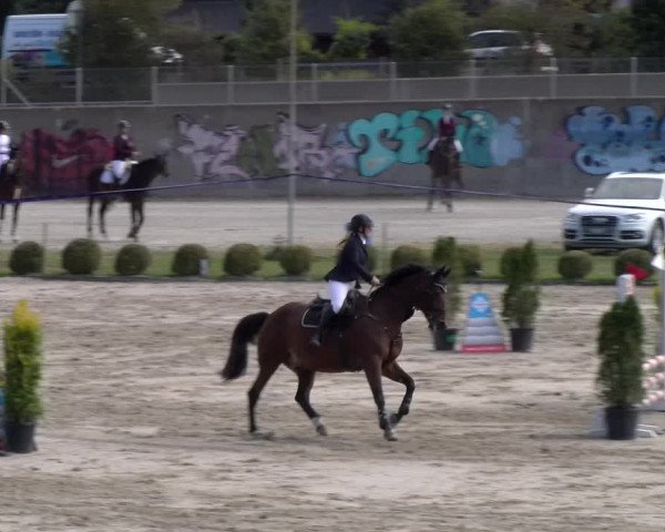 Reitturnier Basel 2023