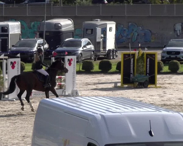 Reitturnier Basel 2023